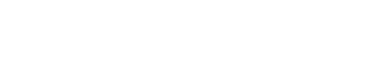 Wisetek